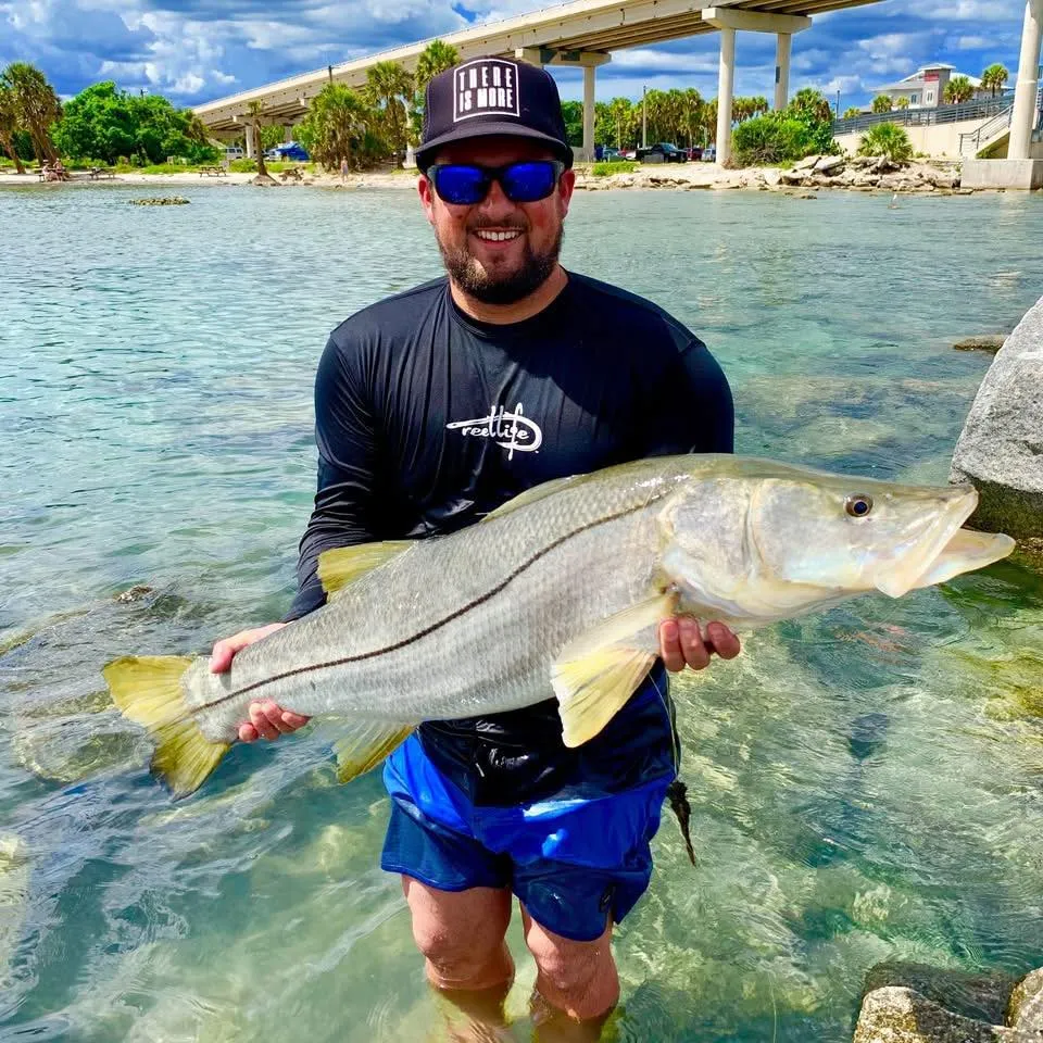 Island Hopping Charter