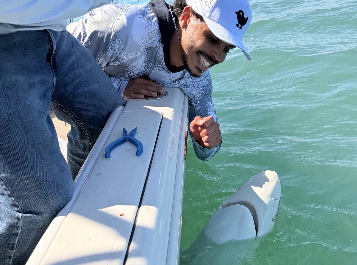 Big Game Shark Fishing